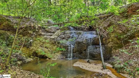 59 Acres in Gray Court