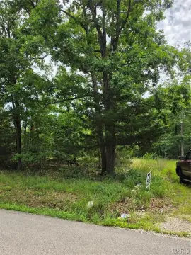 Cleared Hunting/Recreation Land