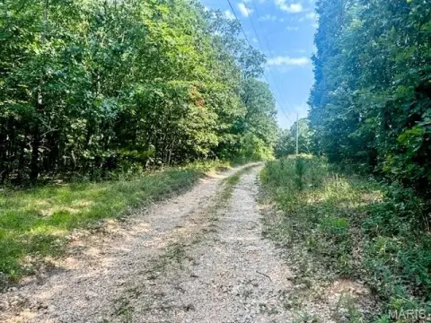 Wooded Recreation Land