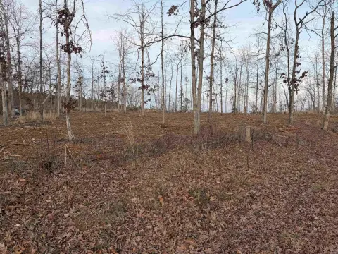 Residential Land in Hot Springs