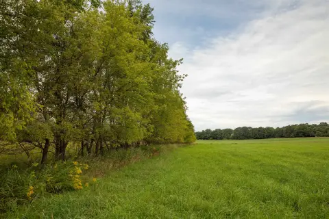 Agricultural Land with Storage Shed