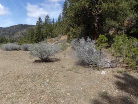 Land with Seasonal Creek