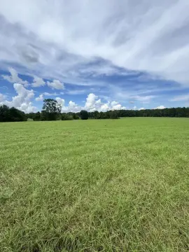 Pastureland with Pond