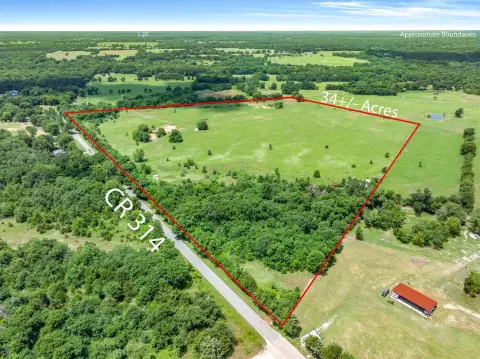 Open Pasture Acreage with Trees