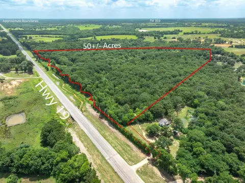 Heavily Treed Recreation Land Tract