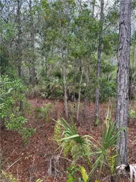 Land Near Naples Beaches