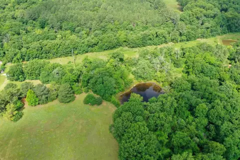Timbered Land with Pond