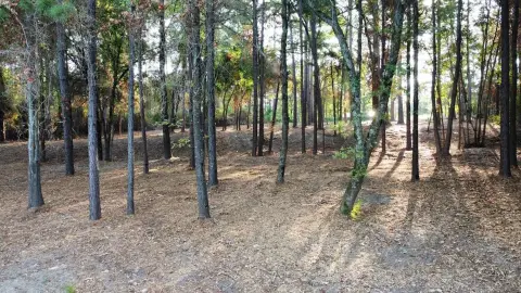 Commercial Land with Road Frontage