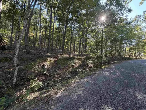 Wooded Lot in Gated Community