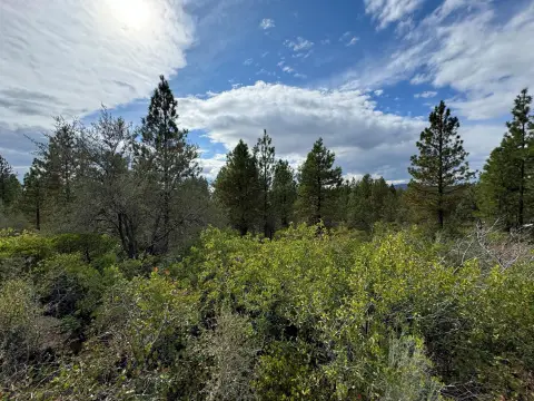 Bonanza, OR Land Opportunity