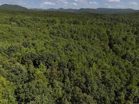 Wooded Acreage in Rustic Ridge