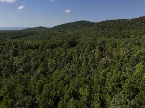 Mena, AR Acreage For Sale