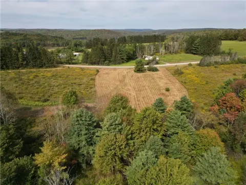 Hunting Land with Creek and Pond