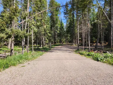 Land Ready for Building in Bigfork