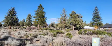 Lake Shastina Building Lot