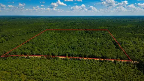 Wooded Hunting and Development Land