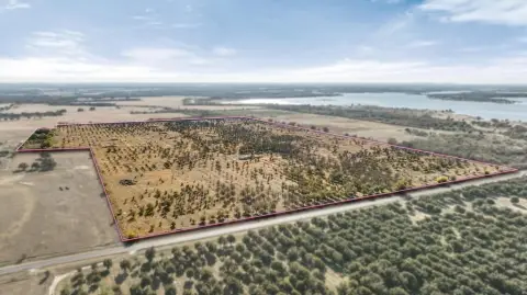 138 Acres Near Lake Proctor