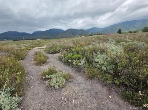 4.3-Acre Panoramic View Lot