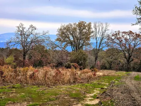 Land Near Ouachita National Forest
