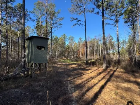 Hunting Land with Live Creek