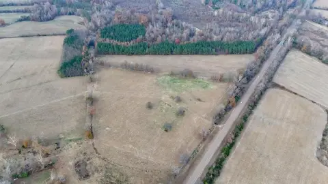 41.59 Acres in Calhoun County