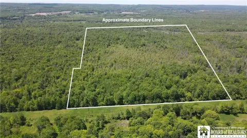 Wooded Hunting and Recreation Land