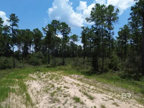 Recreational Homesite Land