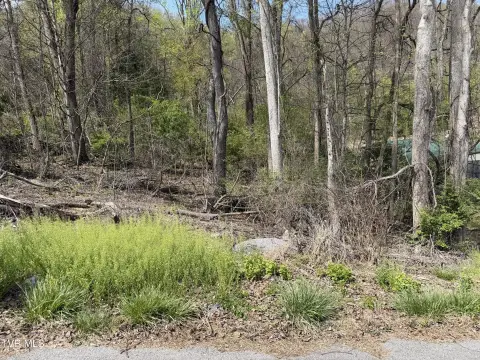 Residential Lot in Sunnybrook