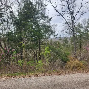 Wooded Residential Building Lot