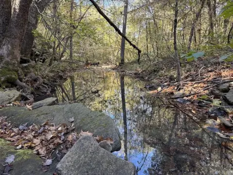 Ozark Mountain Hunting and Recreation