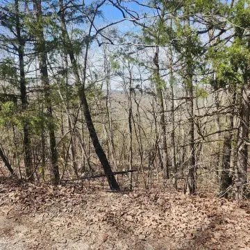 Wooded Residential Lot