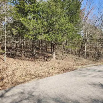 Wooded Residential Build Lot