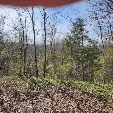Wooded Hillside Residential Lot