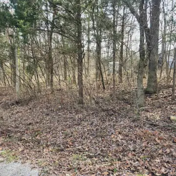 Wooded Residential Lot with Slope