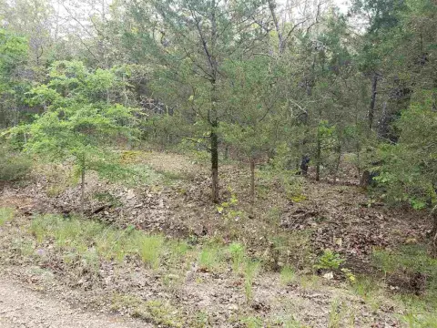 Wooded Residential Lot with Slope