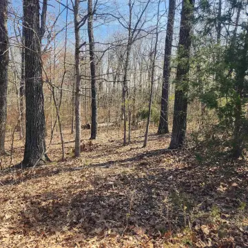 Wooded Cul-de-Sac Home Lot