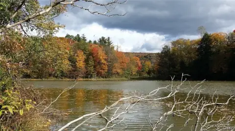 164-Acre Recreational Property with Pond