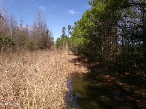 Wooded Hunting Land Parcel