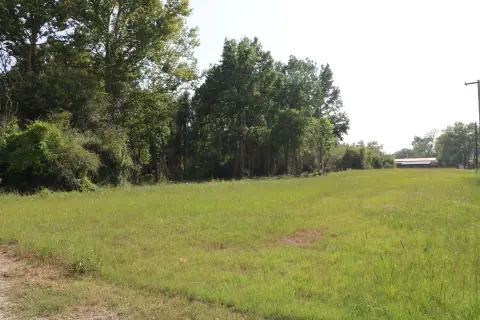 Jasper Land with Park Frontage