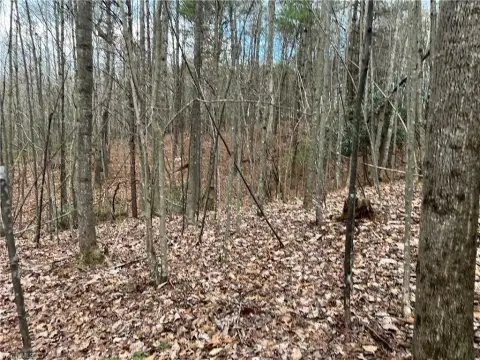 Wooded Homesite in Dobson, NC