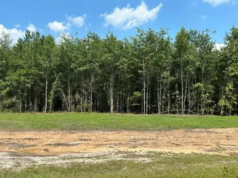 Partially Cleared Commercial Land