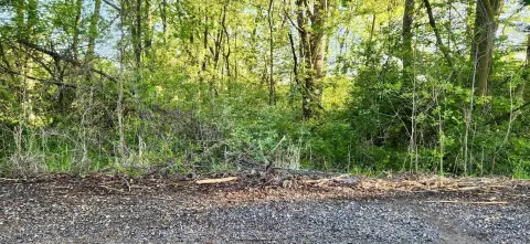 Prime Commercial Land Opportunity