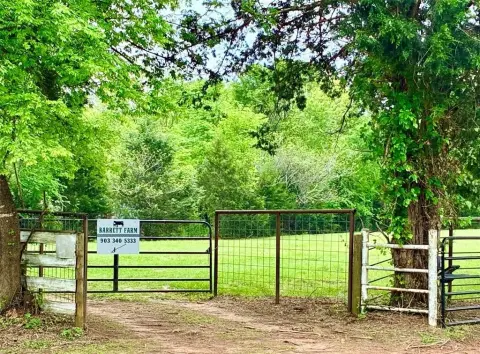 Scenic East Texas Land Opportunity