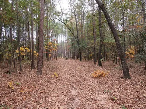 Keysville, GA - 5 Acre Parcel