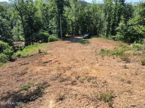 Divided Farmland with Driveways