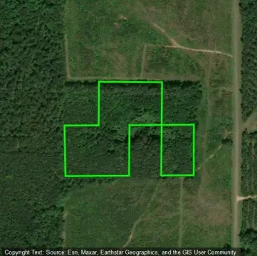 Heavily Wooded Hunting Tract