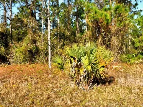 North Port Land Investment Opportunity