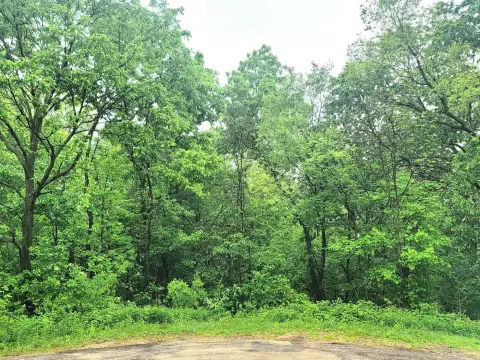 Wooded Cul-de-Sac Home Site