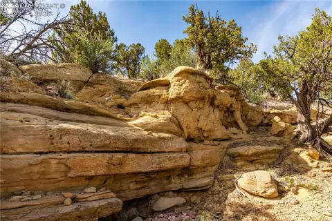 Mountain View Land