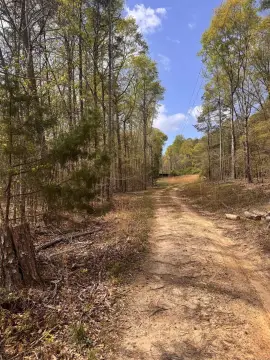 56 Acres of Country Living